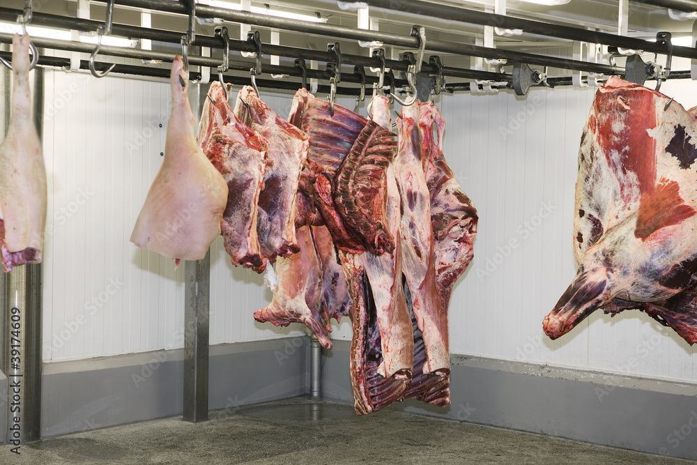 Hanging meat