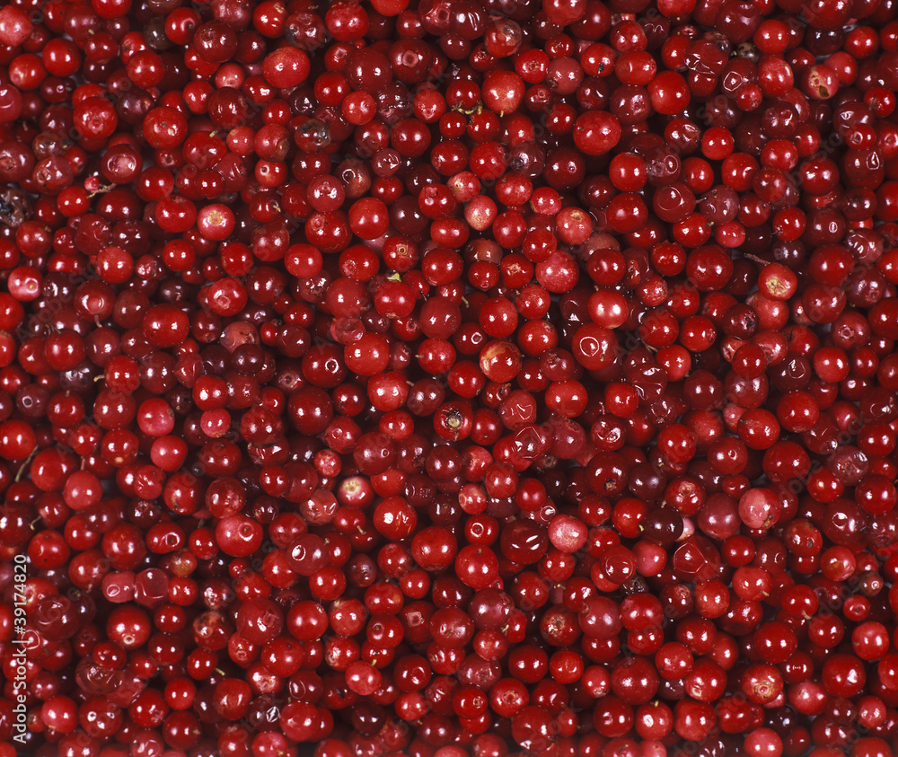 Lingonberries Lingonberries
