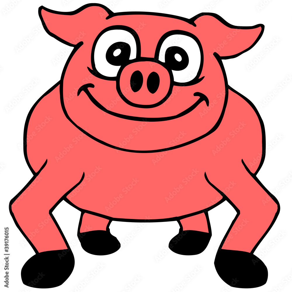 Fototapeta premium schwein