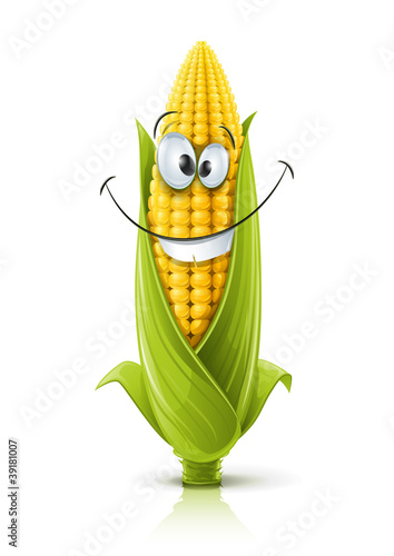 corncob vector illustration color on white background