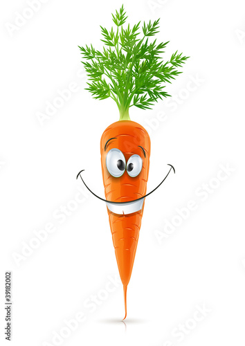 smiling carrot with top carrot with top vector illustration