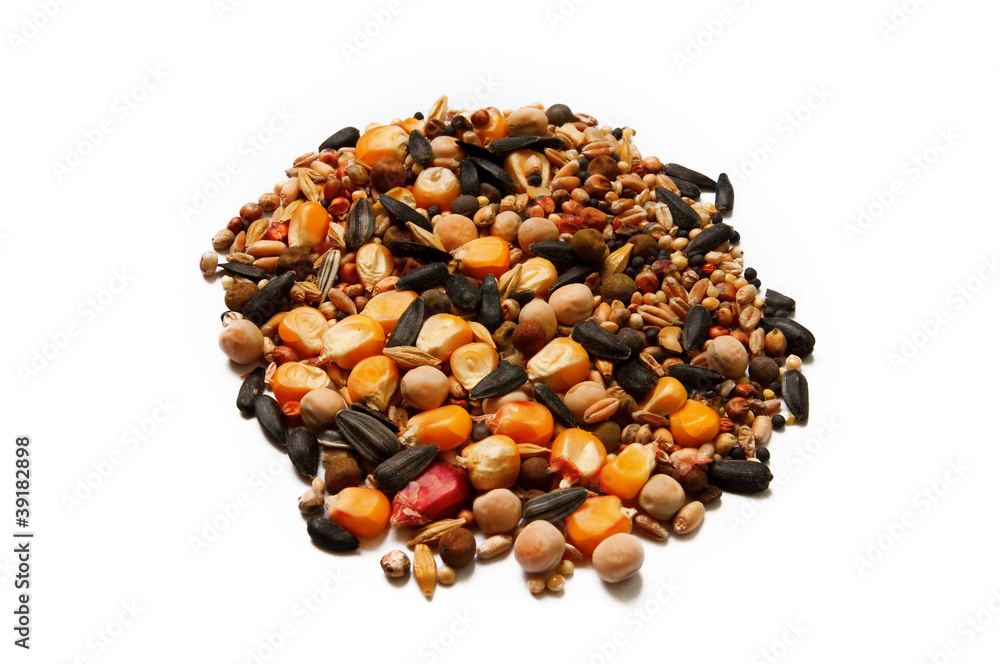 food for birds food for birds