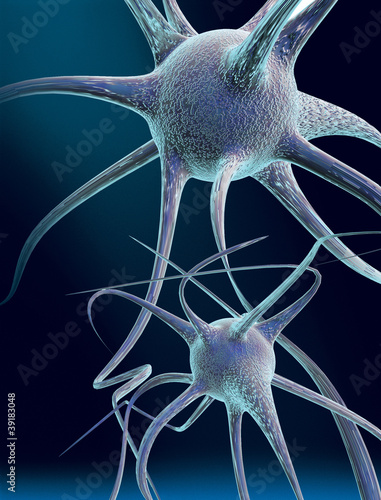 Nerve cells photo