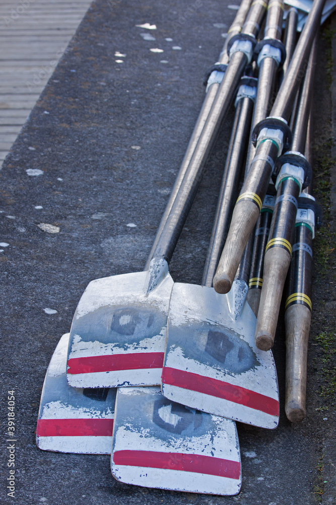 The oars of a rowing crew laid out after a race The oars of a rowing crew laid out after a race