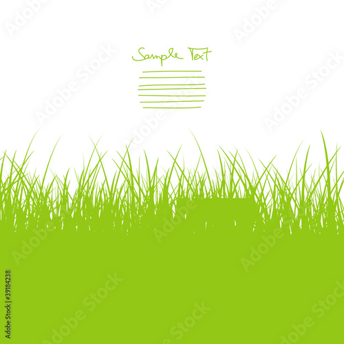 Green Meadow