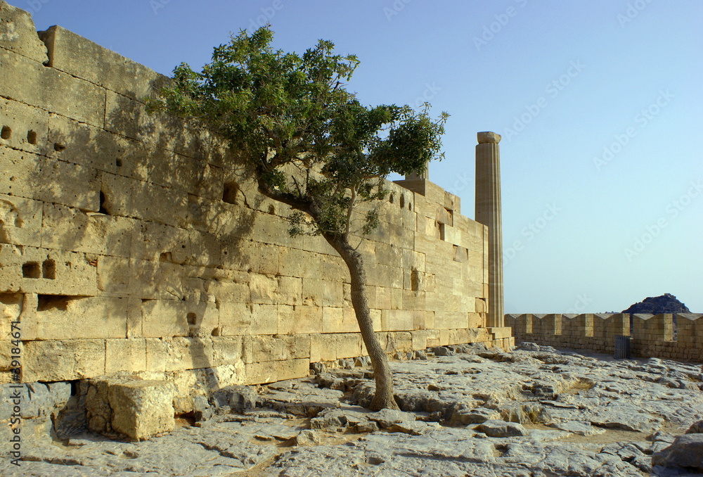 Drzewo w ruinach greckiej świątyni