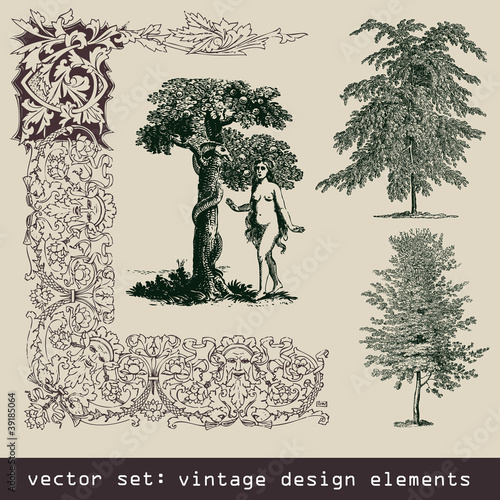 set of design elements - tree, eva, frame, border