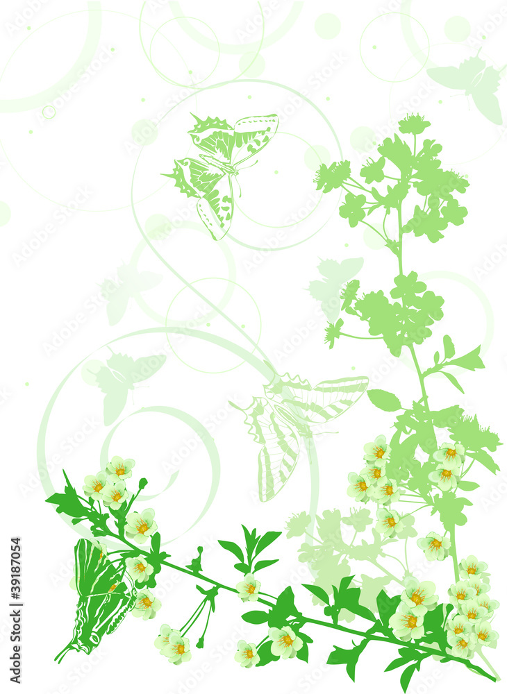 vertical green sakura flowers illustration vertical green sakura flowers illustration