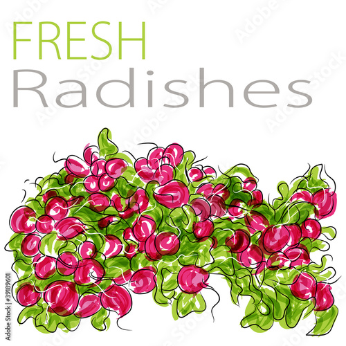 Fresh Radishes