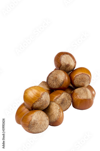 Brown Hazelnuts