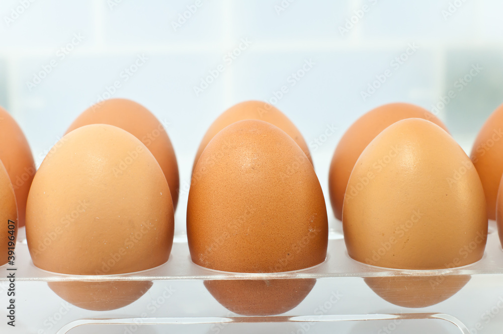 eggs in the package eggs in the package