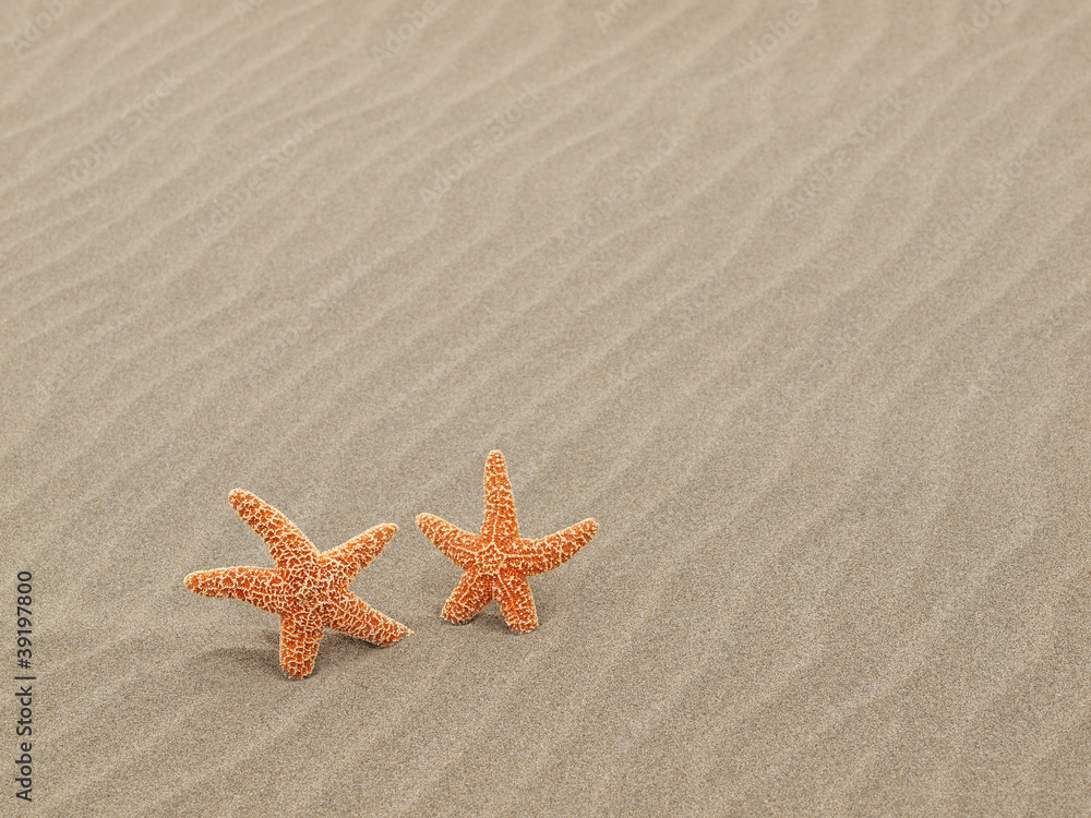 Two Starfish on the Beach with Windswept Sand Ripples Two Starfish on the Beach with Windswept Sand Ripples