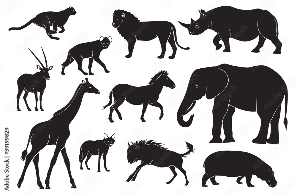 animals of Africa