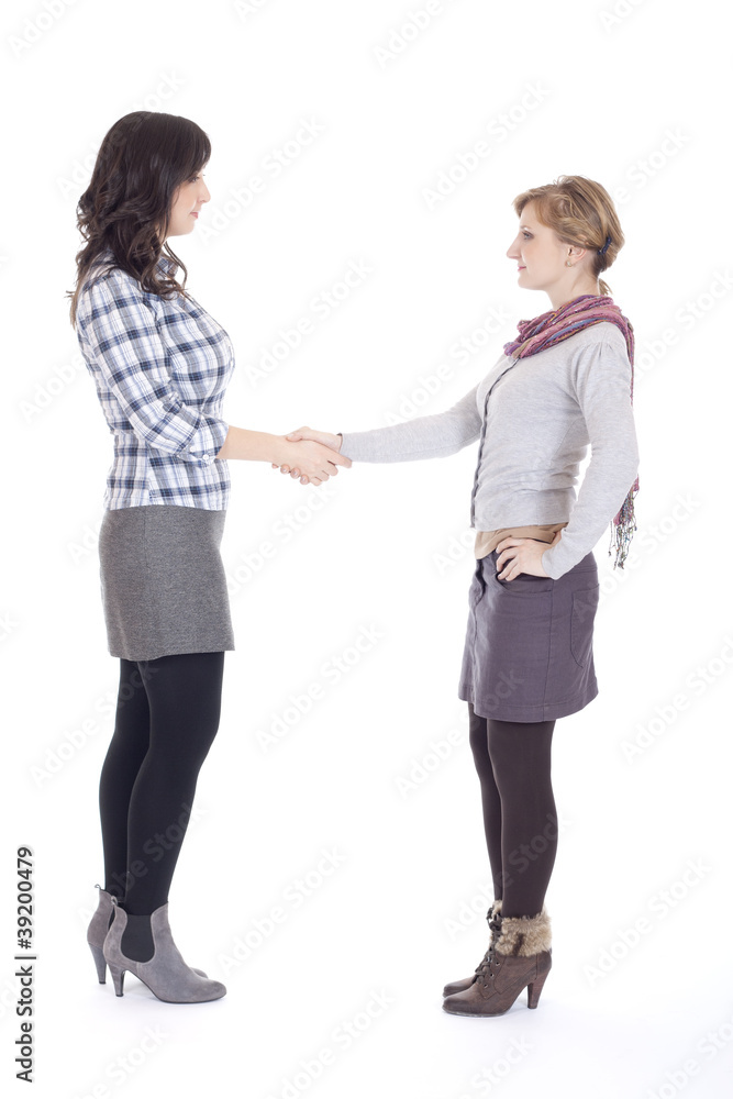 womens handshake the hand