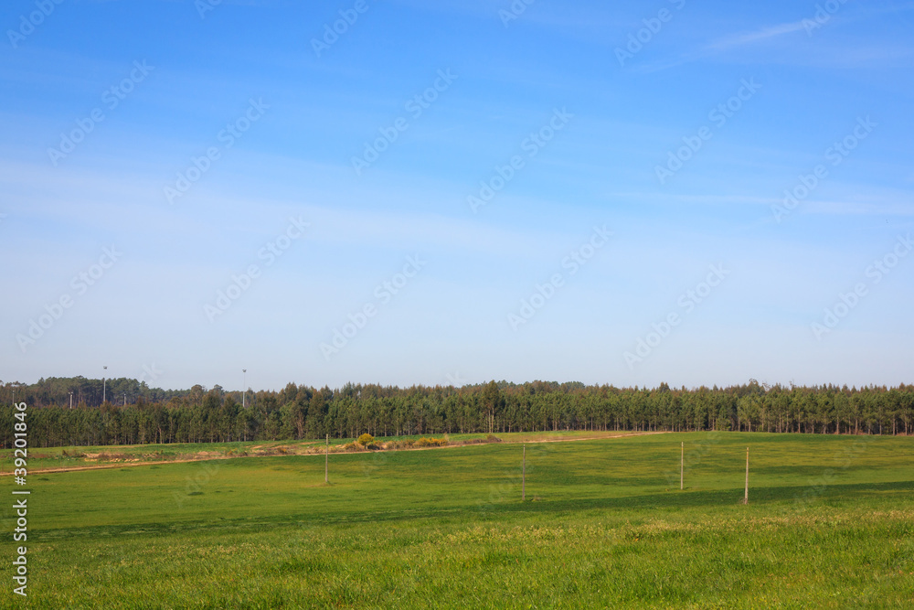 Blue sky over green plain field on Portugal