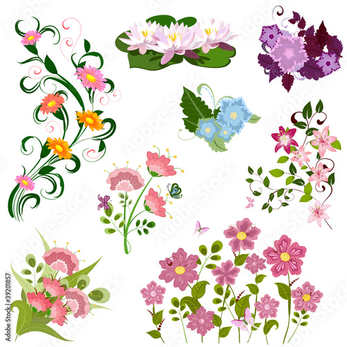 Fototapeta Naklejka Na Ścianę i Meble -  set of flowers