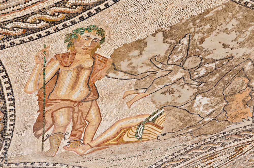 Obraz premium Columns House at Volubilis, Morocco