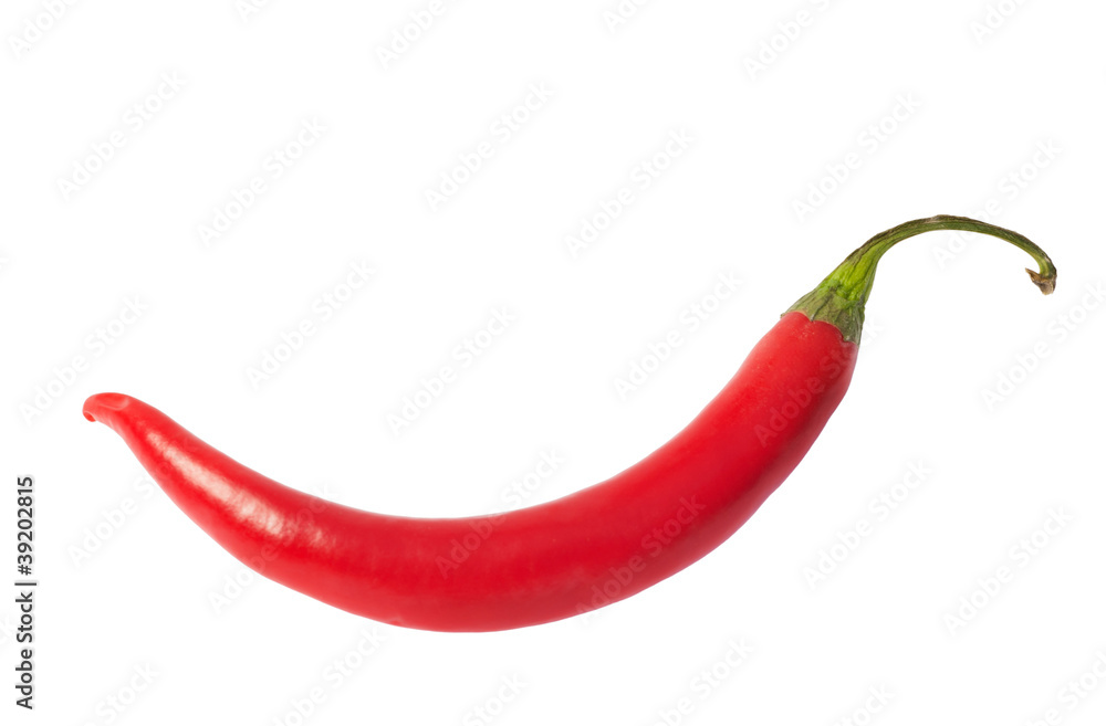 single isolated red hot chilli pepper single isolated red hot chilli pepper