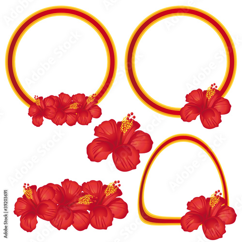 Hibiscus flowers illustrations and labels set.