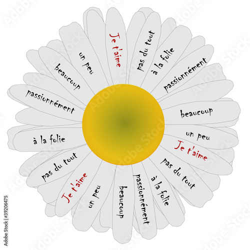 Effeuillage marguerite
