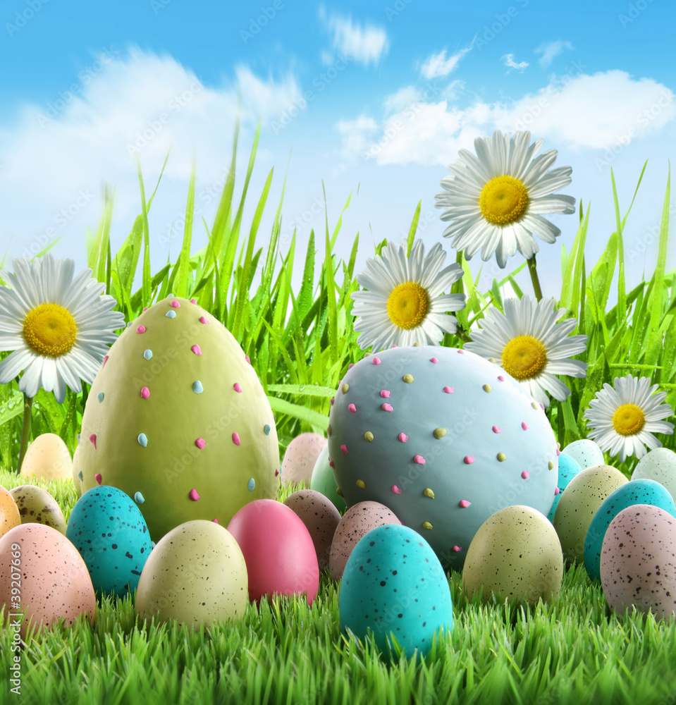 Colorful Easter eggs with daisies