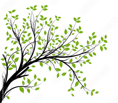 vector set - green decorative branch and leaves