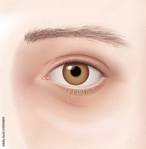 Auge - braun