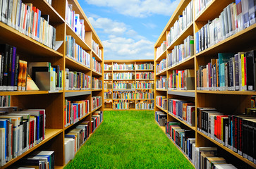 Wandcirkels Bibliotheek Boekentuin met groene planten  © Roman Rodionov
