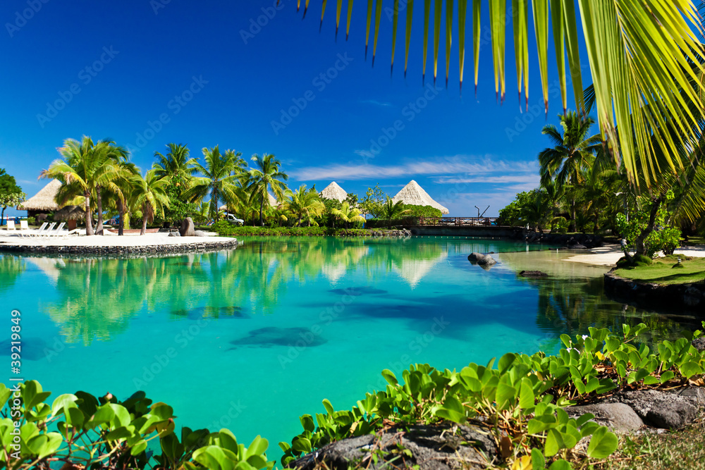Tropical resort with a green lagoon and palm trees - obrazy, fototapety, plakaty 