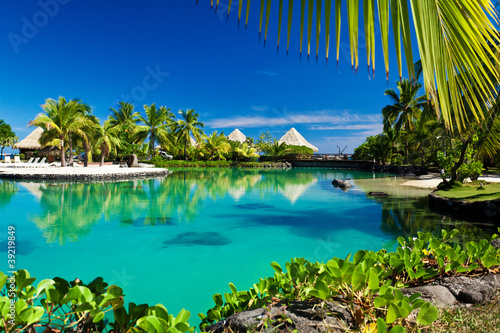 Tropical resort with a green lagoon and palm trees photo