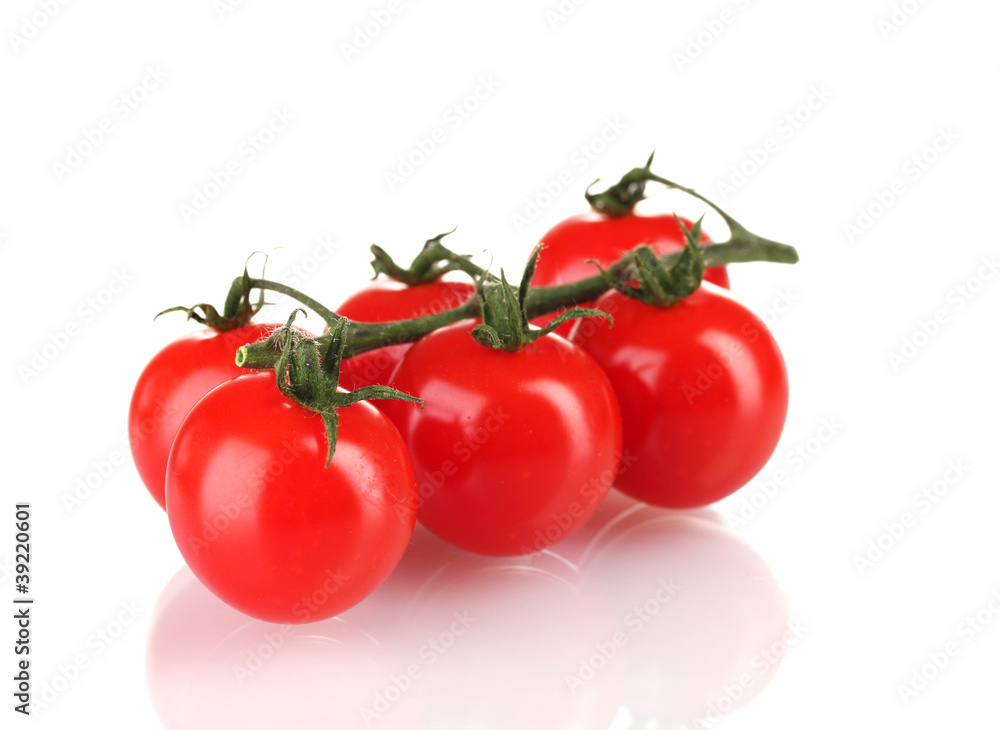 Beautiful cherry tomatoes on a branch isolated on white Beautiful cherry tomatoes on a branch isolated on white