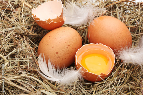 chicken eggs in a nest closeup