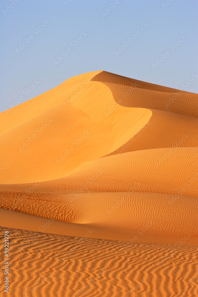 Fototapeta premium Dune Landscape