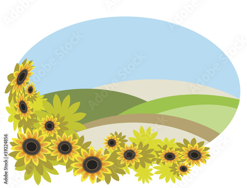 The frame with sunflower field.