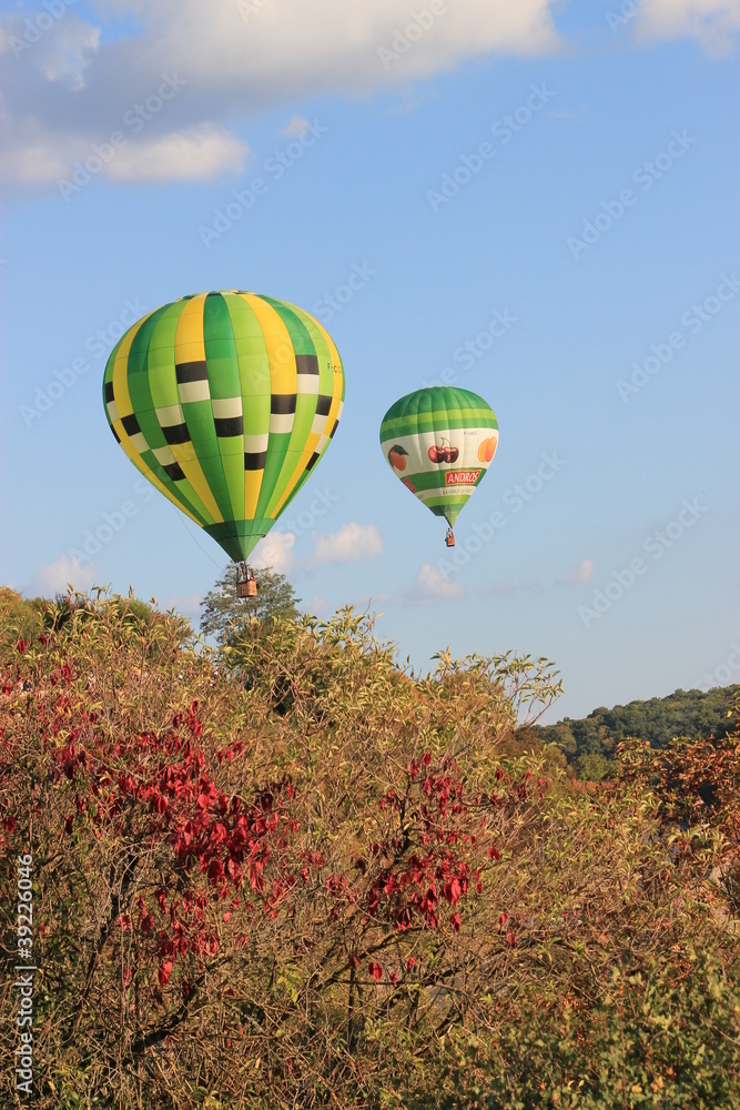 montgolfières au dessus des arbres. montgolfières au dessus des arbres.