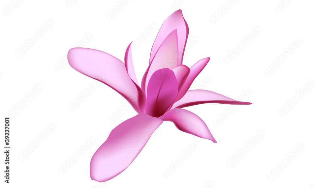 Naklejka premium Оrchid flower