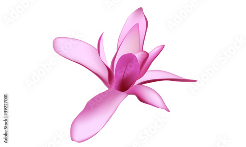 Fototapeta Naklejka Na Ścianę i Meble -  Оrchid flower