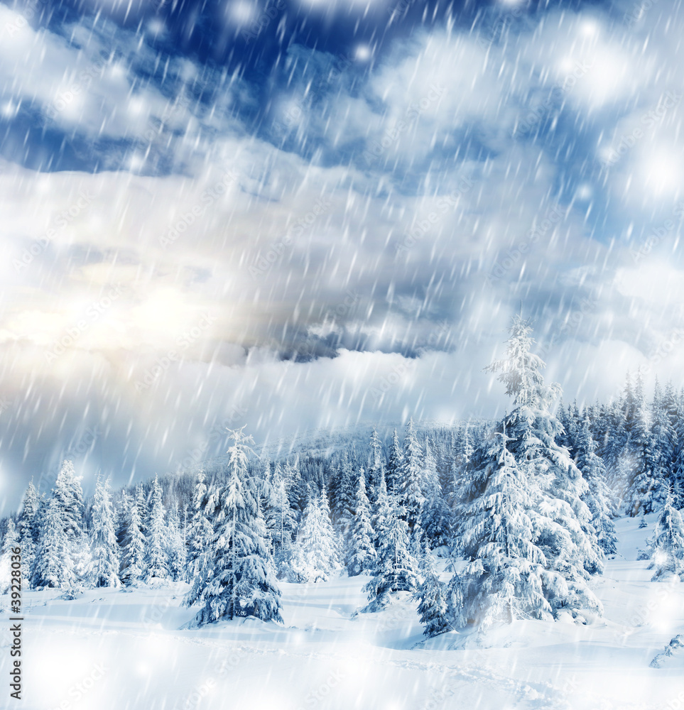 Winter Winter