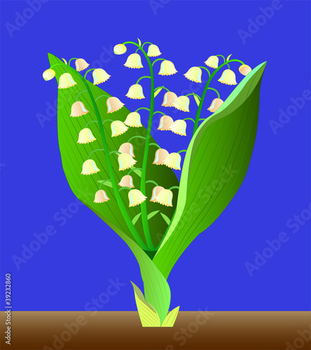 Spring lilies of the valley.
