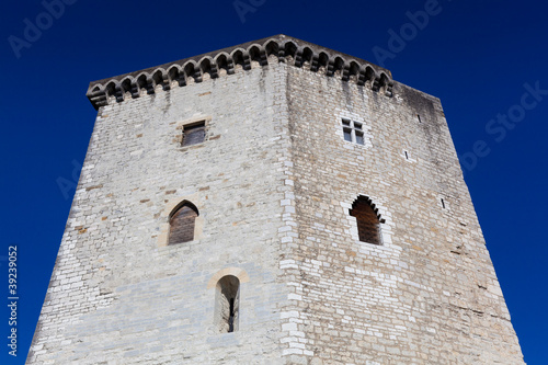 Castillo de Moncade, Orthez, Pirineos Atlanticos, Aquitania, Fra photo