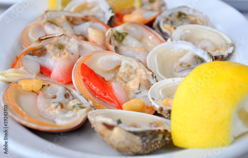 Cockles & smooth clams closeup