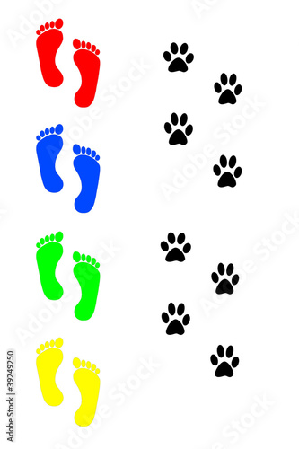 dog and human footprints over white background