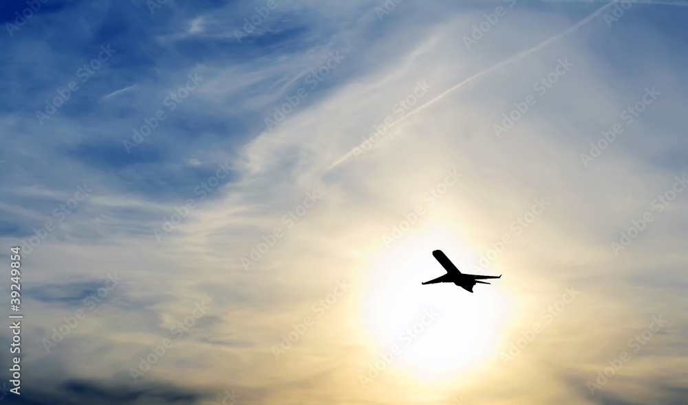 Obraz premium plane i sunset