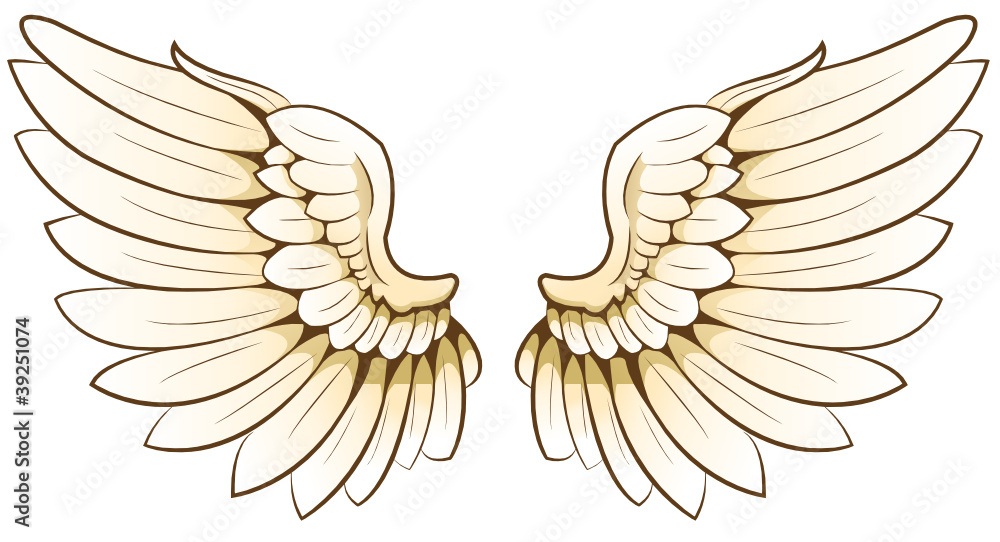 Obraz premium pair of wings