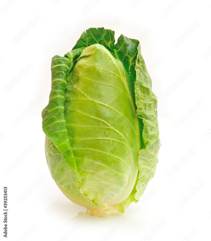 Fototapeta premium Green cabbage on white background