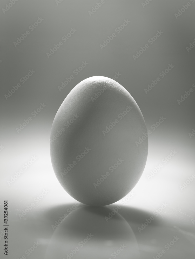 White egg over desk with reflection and shadow White egg over desk with reflection and shadow