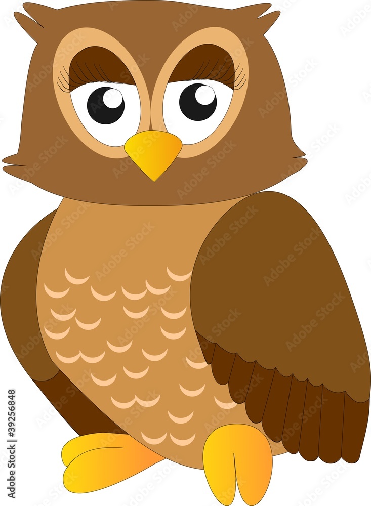 Vector Owl Vector Owl