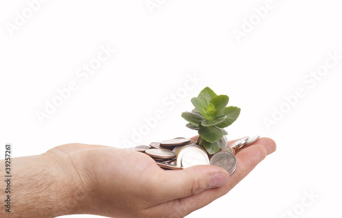 Palms with a plant growing from pile of coins