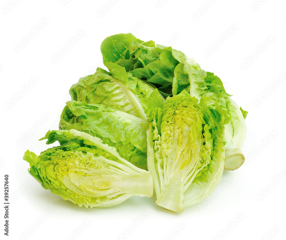 lettuce on white background lettuce on white background
