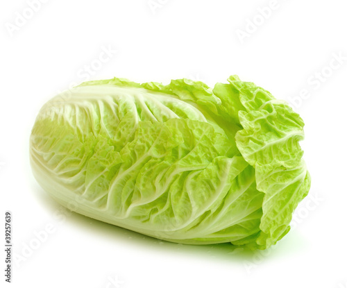 green cabbage on white background